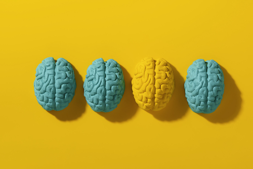 The Mind Meld - The images shows 4 brains, three are teal and the second one from the right is yellow with a yellow background.